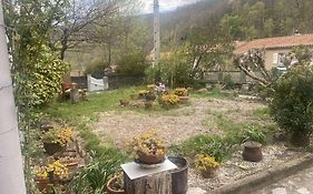 Appartement Prats-de-Mollo-la-Preste, 3 pièces, 6 personnes - FR-1-659-60